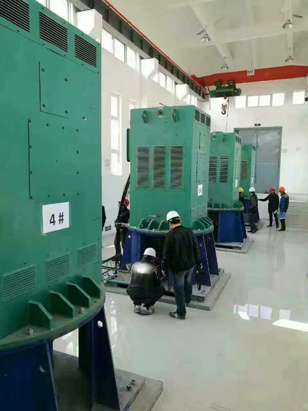 洪梅镇某污水处理厂使用我厂的立式高压电机安装现场现货销售